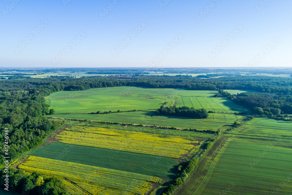 Green and yellow farmland and meadows pictured from a drone. Rural areas on a beautiful and sunny summer day.
