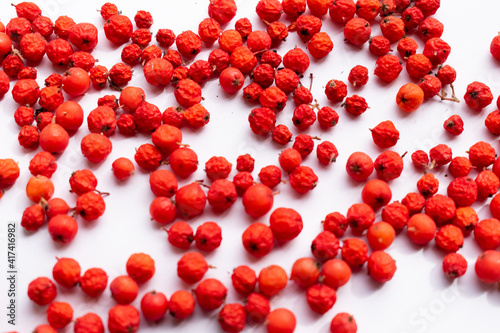 Rowan berries on white paper background