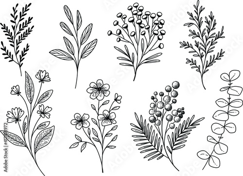 Set of hand drawn floral elements. Vector plants isolated. Decorative flowers and branches black color on white background