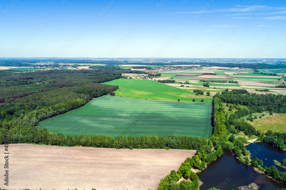 Farmlands in the countryside surrounded by forest. A photo from a drone on a sunny and summer day.