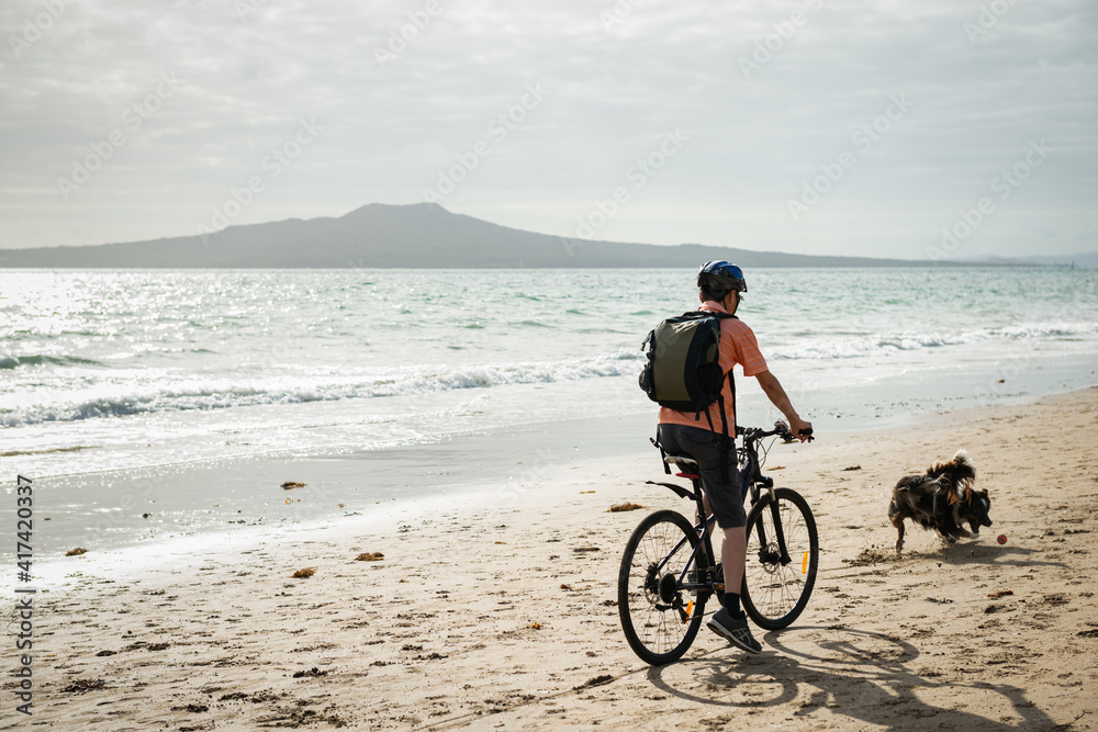 A man cycling on the Milford beach with Rangitoto Island in the distance. A dog chasing the ball suddenly running in front of the cyclist.
