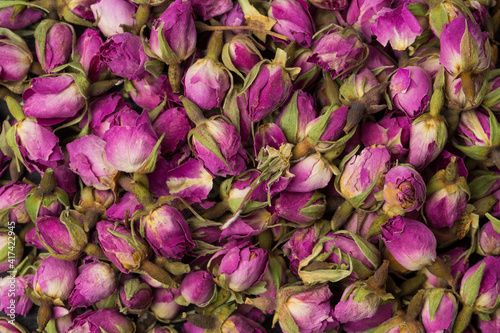 Many small tea roses in studio