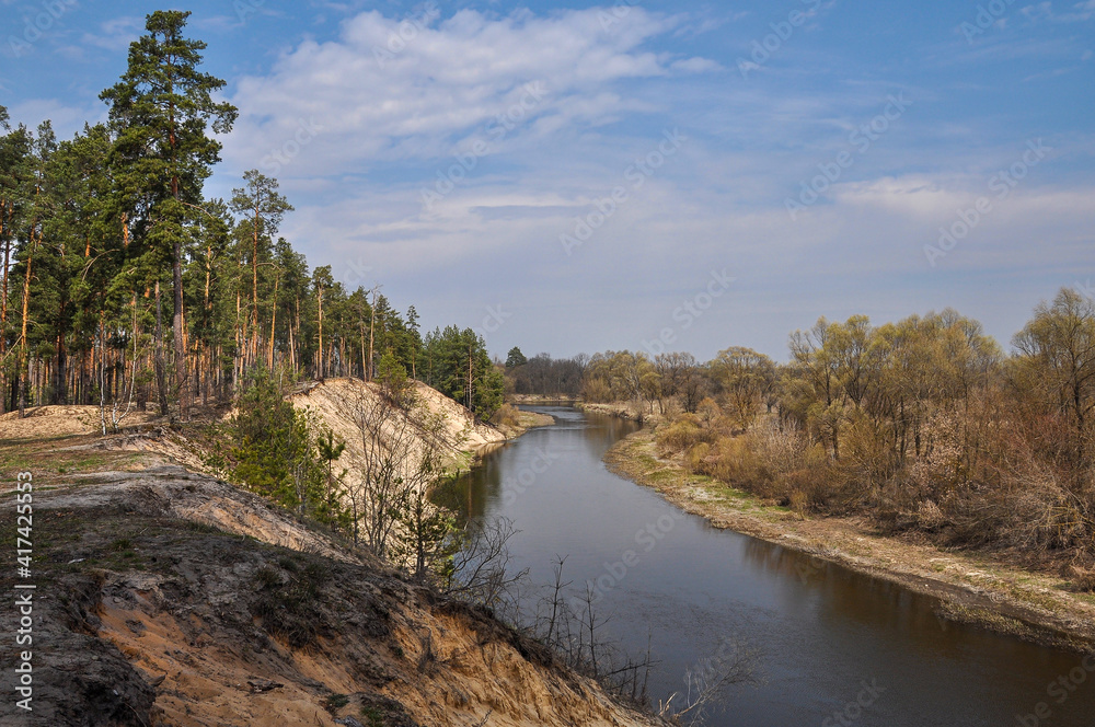 Panoramic view of the beautiful Teterev river with high banks and pine trees on them. Ukraine