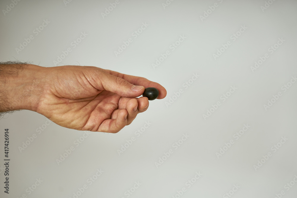 Fototapeta premium Man's hands show black olive just picked from the olive tree