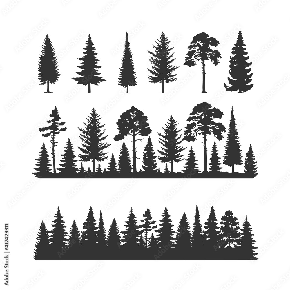 Fototapeta premium Set of coniferous trees.