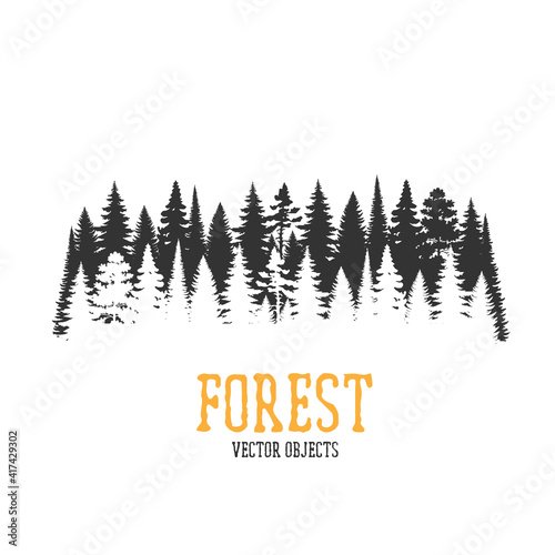 Vector illustration of forest.