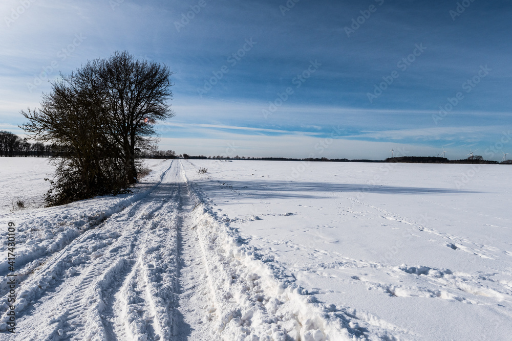 Fototapeta premium Winter 21