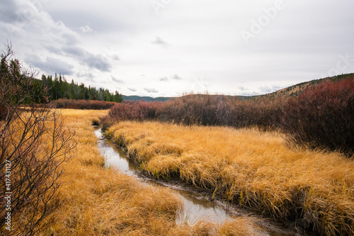 Autumn Meadow in Yellowstone