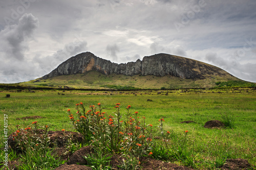 Rano Raraku under a stormy sky with wild flowers in the foreground, Easter Island, Chile