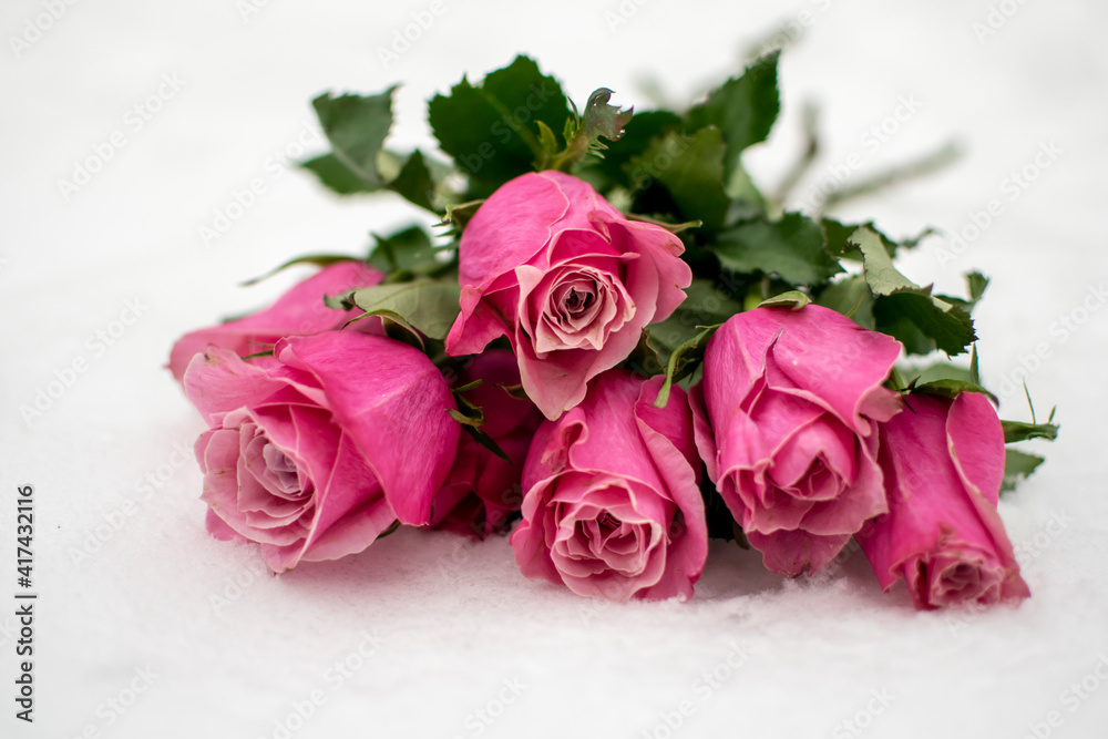 Fototapeta premium Bouquet of pink roses on white snow.