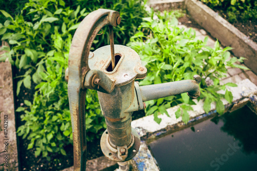 Alter Brunnen im Gemüsegarten