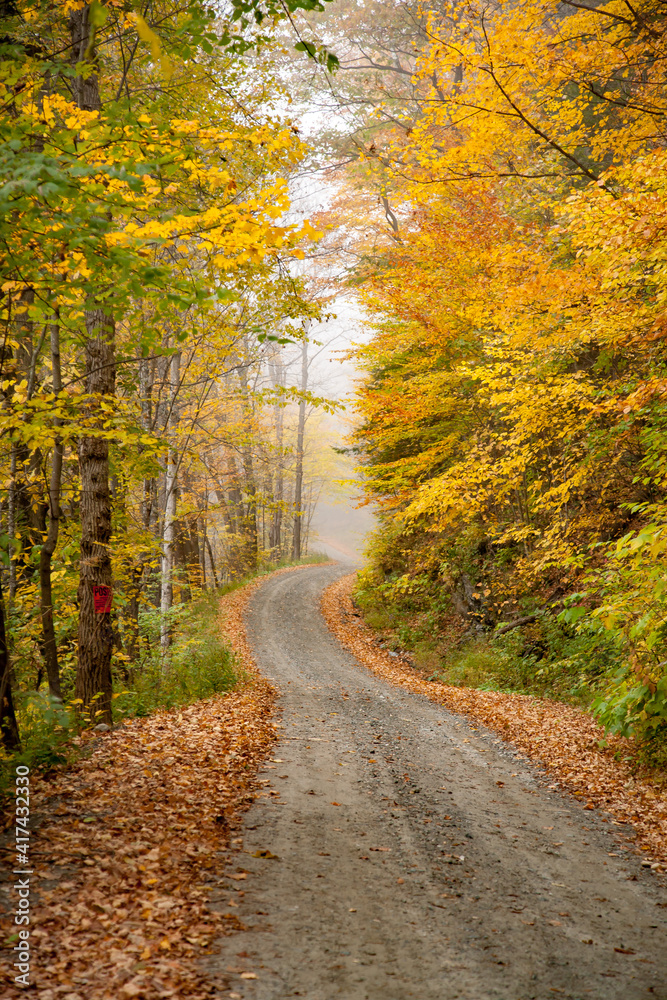 Gravel winding road snaking through a forest of autumn colors near Cornish, New Hampshire. Gravel winding road snaking through a forest of autumn colors near Cornish, New Hampshire.