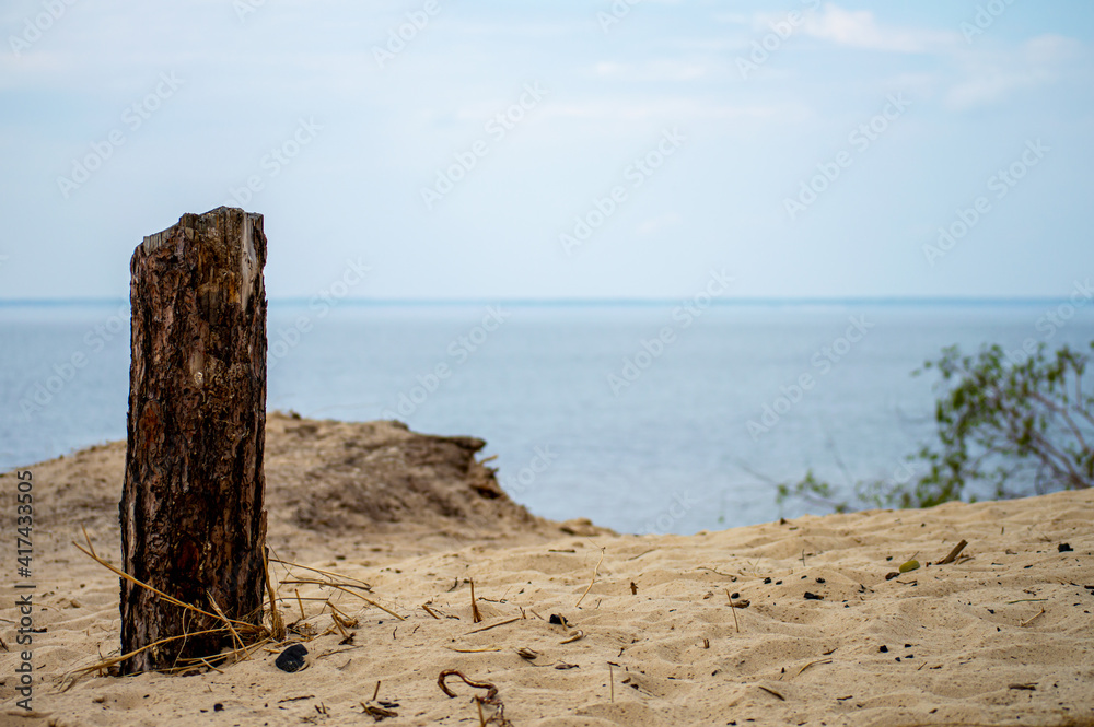 Charred broken wood on sea background Charred broken wood on sea background