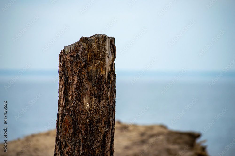 Charred broken wood on sea background 