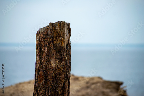 Charred broken wood on sea background 