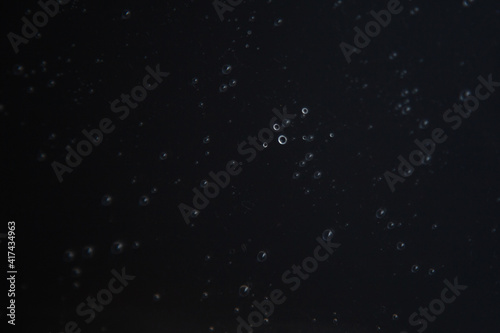 Water drops on black glass background. Rain droplets with light reflection on dark window surface, abstract wet texture