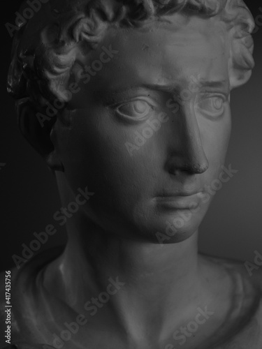 portrait of a David Michelangelo, a plaster bust