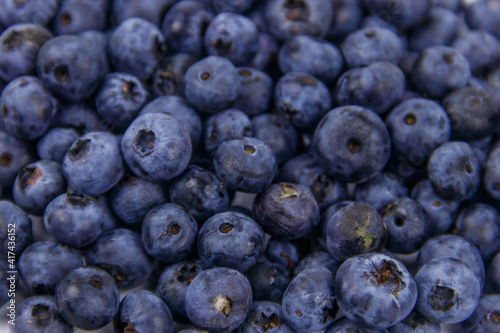 Background of the fresh blueberries