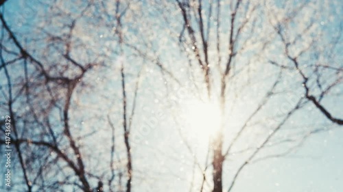 Snowing. The sun is shining into the camera. Slow motion.