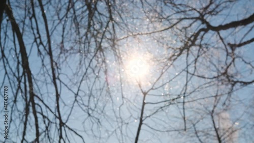 Snowing. The sun is shining into the camera. Slow motion.