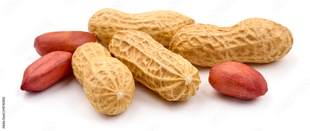 Useful peanut, isolated on white background. High resolution image Useful peanut, isolated on white background. High resolution image