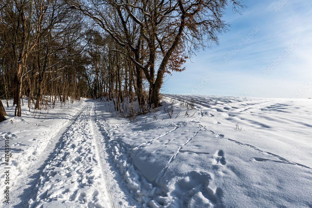 Fototapeta premium Winter 21