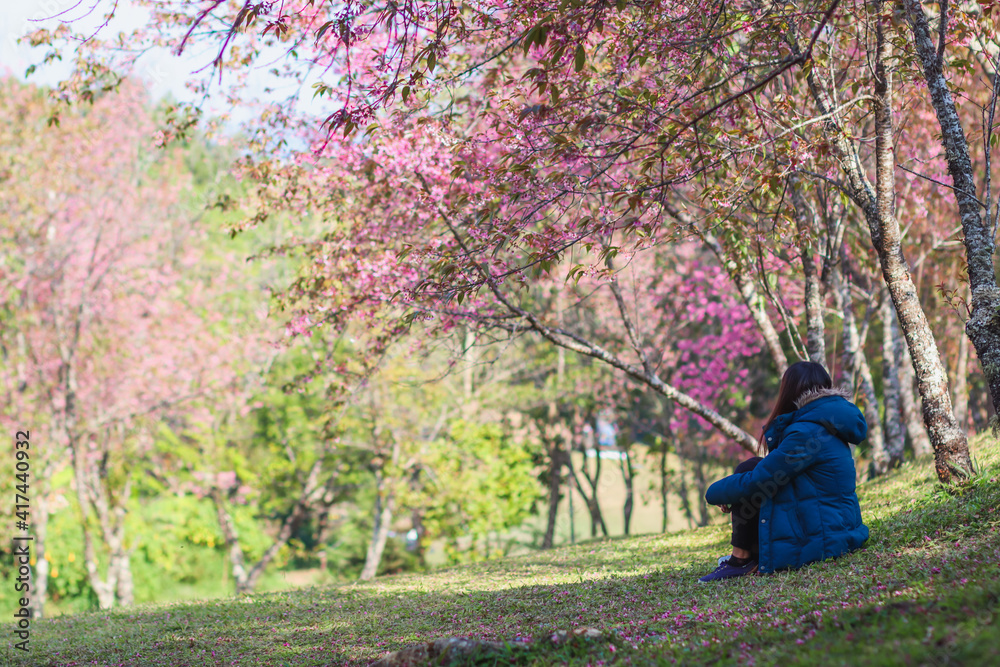 A girl who was disappointed was sitting alone on the green lawn in the pink cherry blossom park alone in loneliness. The concept of a young woman's sadness and disappointment to face alone A girl who was disappointed was sitting alone on the green lawn in the pink cherry blossom park alone in loneliness. The concept of a young woman's sadness and disappointment to face alone