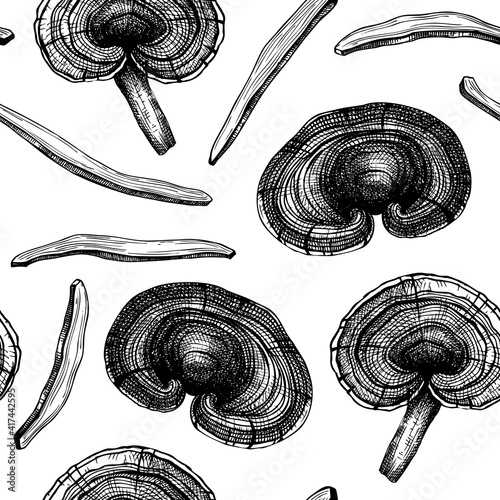 Reishi mushrooms background. Hand-sketched medicinal plant vector drawings. Adaptogenic mushroom seamless pattern. 