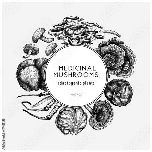 Medicinal mushroom illustrations wreath. Hand-sketched adaptogenic plants frame design. Perfect for recipe, menu, label, packaging. 