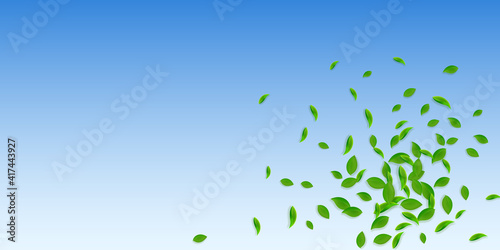 Falling green leaves. Fresh tea chaotic leaves fly