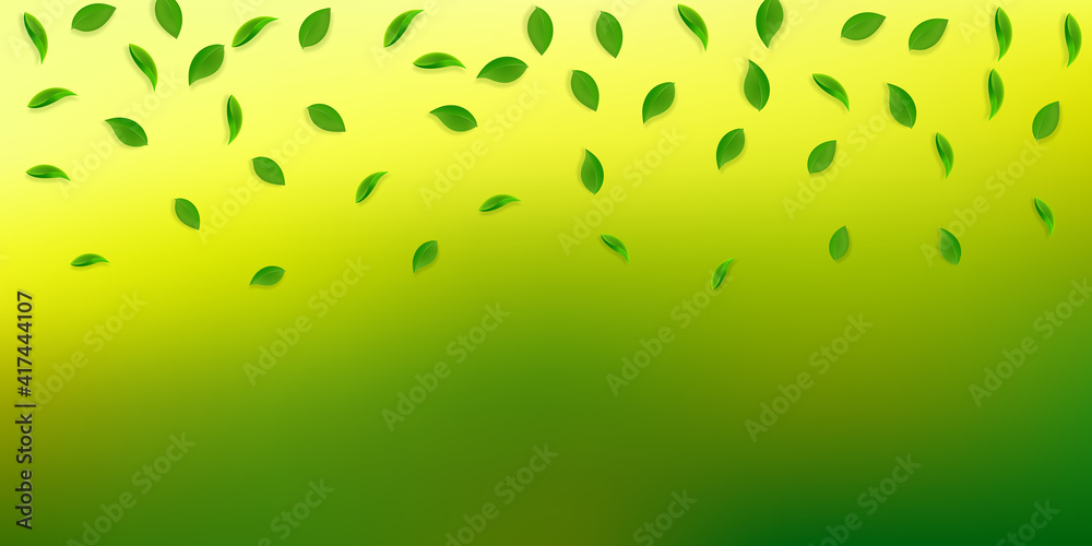 Falling green leaves. Fresh tea random leaves flyi Falling green leaves. Fresh tea random leaves flyi