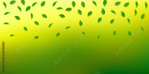 Falling green leaves. Fresh tea random leaves flyi
