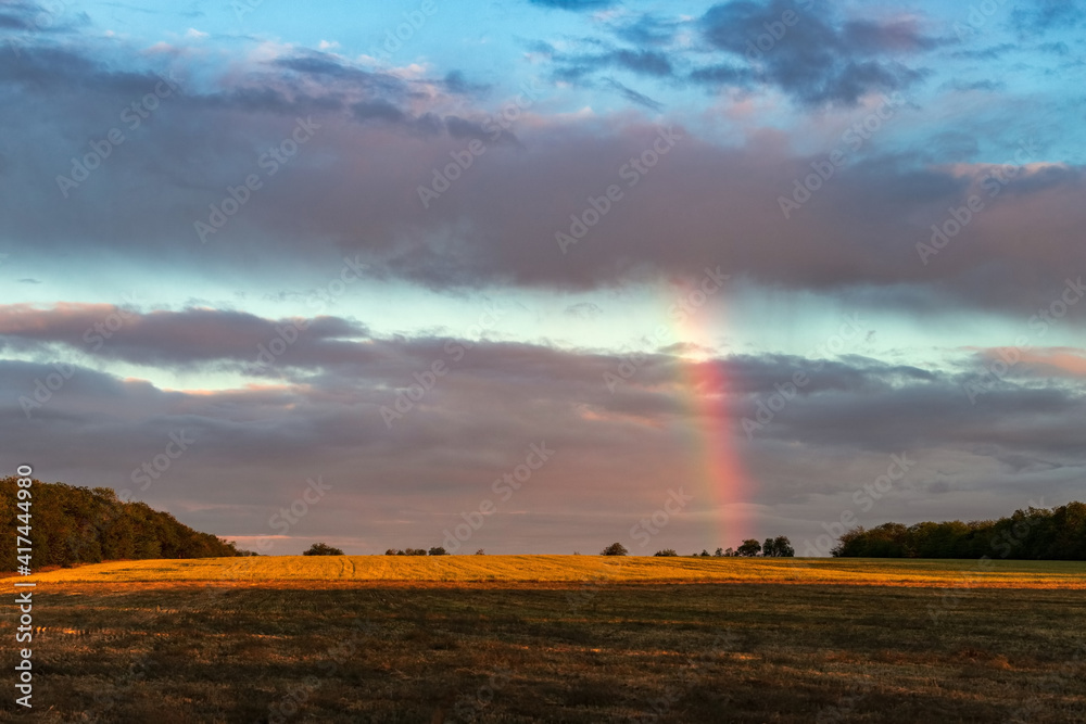 Fototapeta premium Summer landscape at sunset over a field, with a rainbow in the sky