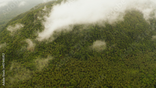 Mountains covered rainforest in cloudy weather, aerial view. Slopes of mountains with evergreen vegetation.