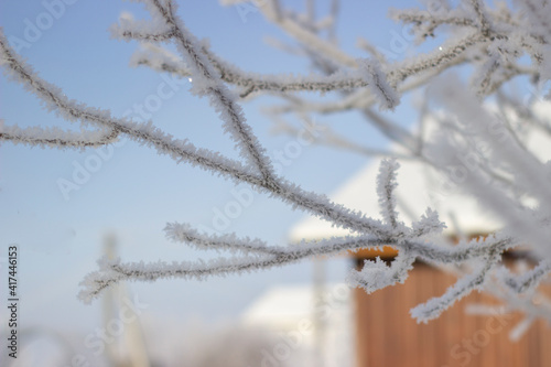 Winter. Frost. Frozen trees. Beautiful landscape © Сергей Щеголев