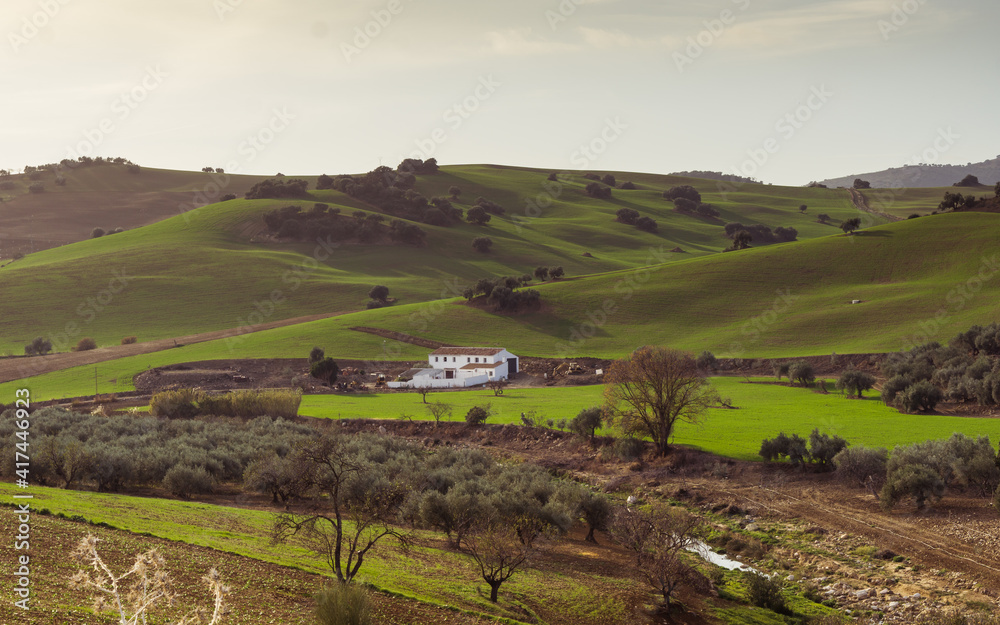 Countryside lansdcape in Andalusia, Spain, near Villanueva de la Conception