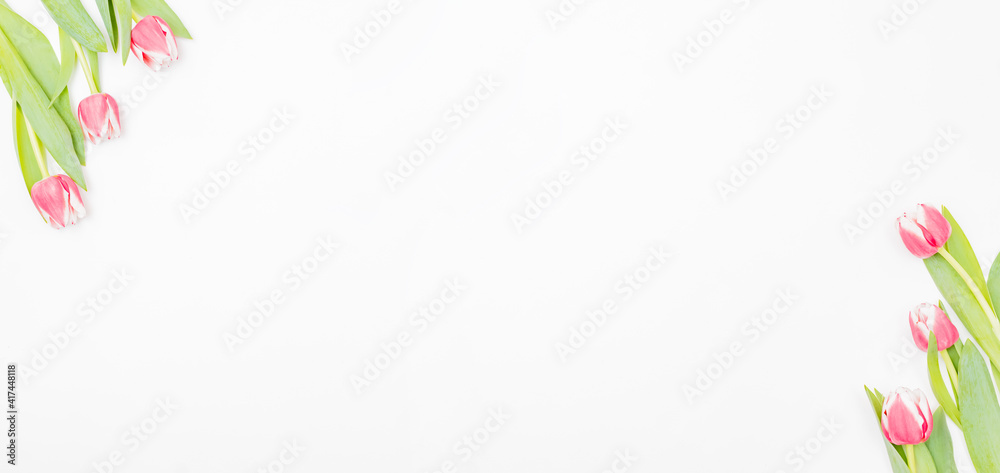 Flat lay composition with pink tulips on white background Flat lay composition with pink tulips on white background