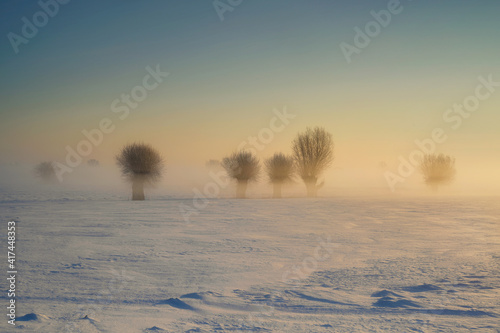 Winter rural landscape, Poland around Malbork, Sunrise 