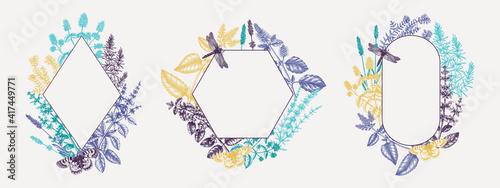 Mint plants wreathes collection in colors. Summer herbs retro designs. Hand sketched aromatic and medicinal herbs background. Herbal tea ingredients. 
