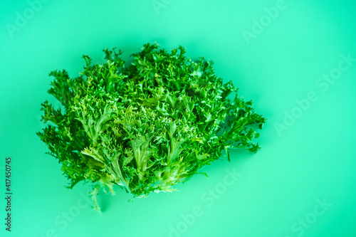 Bush of fresh green lettuce salad on green background