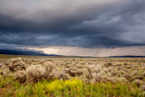 Thunder strom in the distance, east of Bend, Oregon; spring wildflowers are blooming.