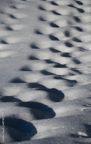 foot steps in the snow along a pathway for hikers looking like small craters on a hard surface on a cold winters day after a fresh snowfall abstract background of random holes in the snow shadowed  photo