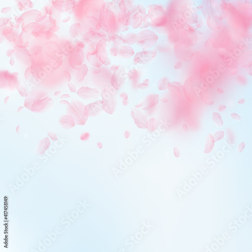 Sakura petals falling down. Romantic pink flowers gradient. Flying petals on blue sky square backgro