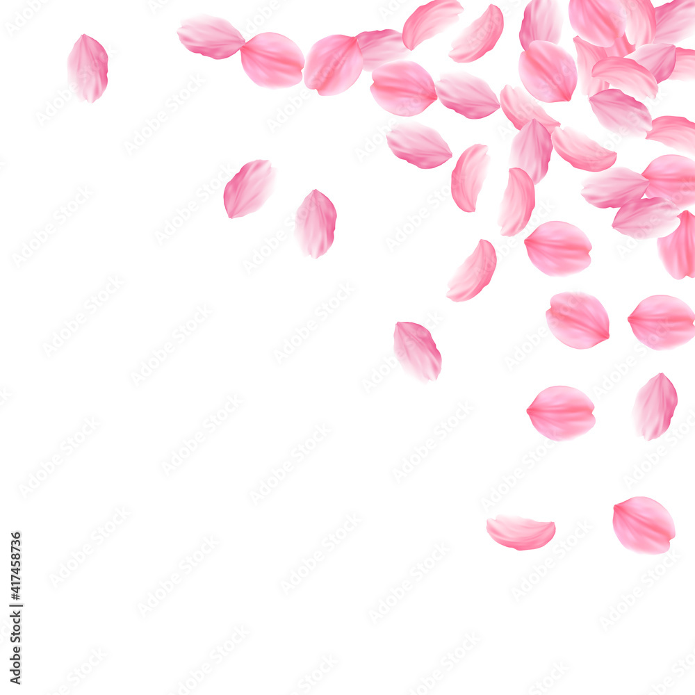 Sakura petals falling down. Romantic pink bright big flowers. Thick flying cherry petals. Scattered