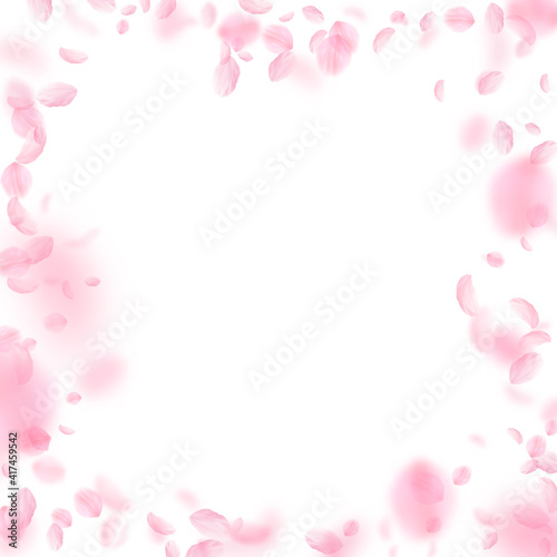 Sakura petals falling down. Romantic pink flowers frame. Flying petals on white square background. L © Begin Again