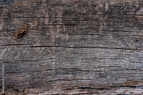 Vintage wood background close-up. Very old cracked wood plank, rough textured surface.