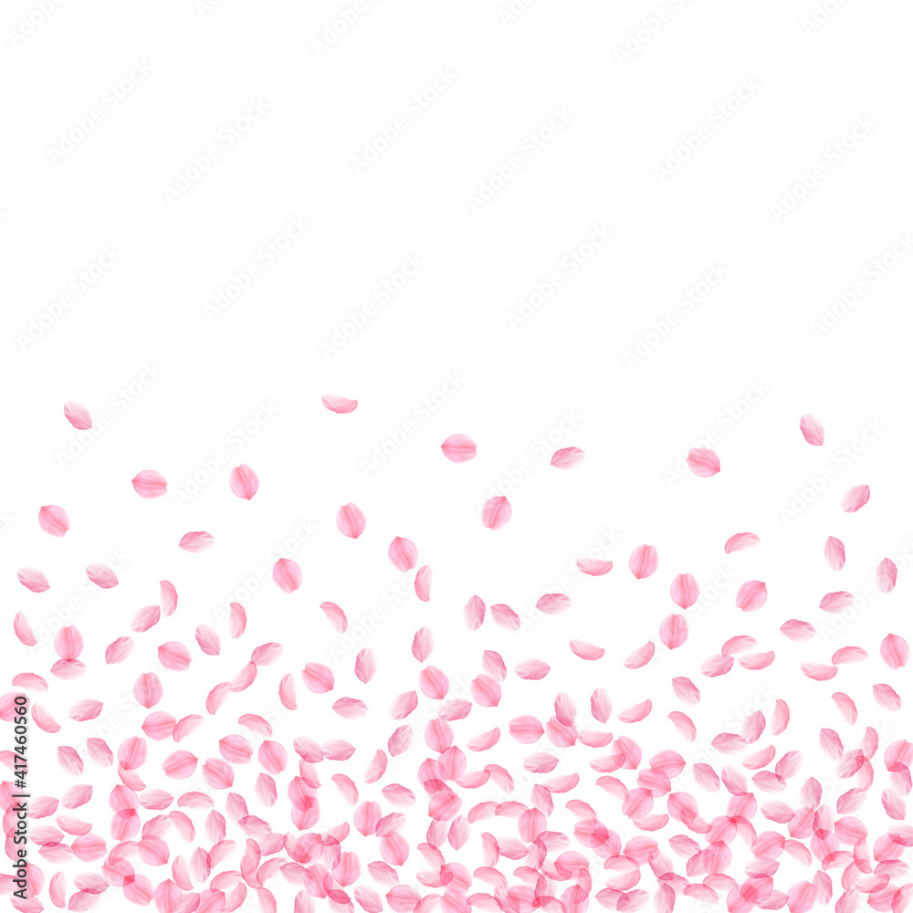 Sakura petals falling down. Romantic pink silky small flowers. Thick flying cherry petals. Scatter b