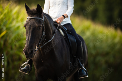 Woman riding a horse. Equestrian sport, leisure horse riding concept