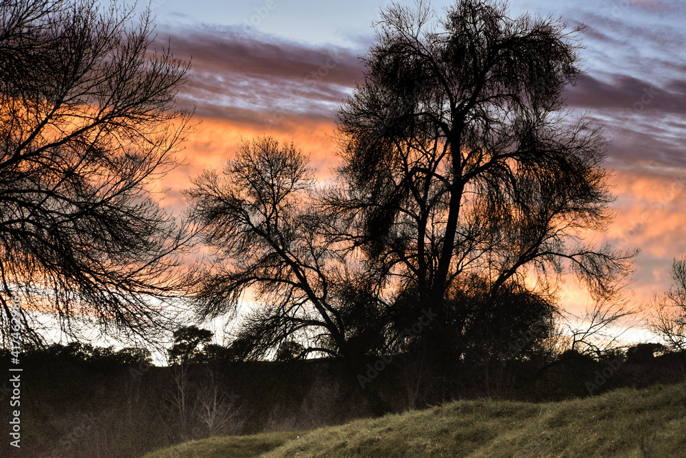 Fototapeta premium The colours of the sky