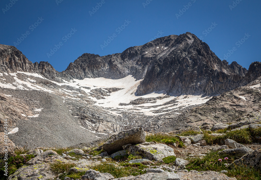 Top of a mountain with snow and a glacier on a meadow with grass and rocks
